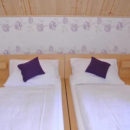 Apartmany Ruze Lipova Lazne Exterior photo